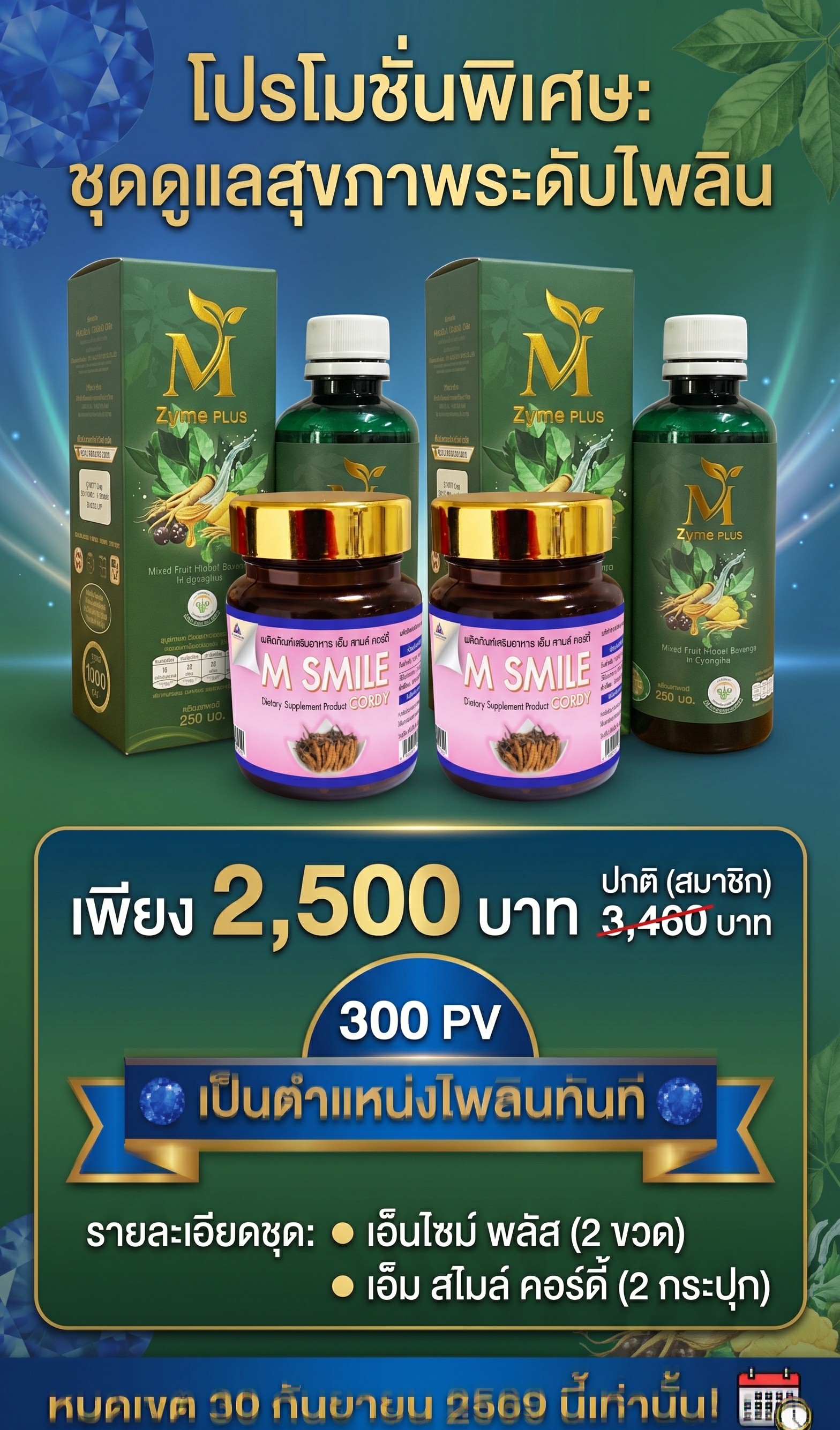 โปรโมชั่นชุดไพลิน