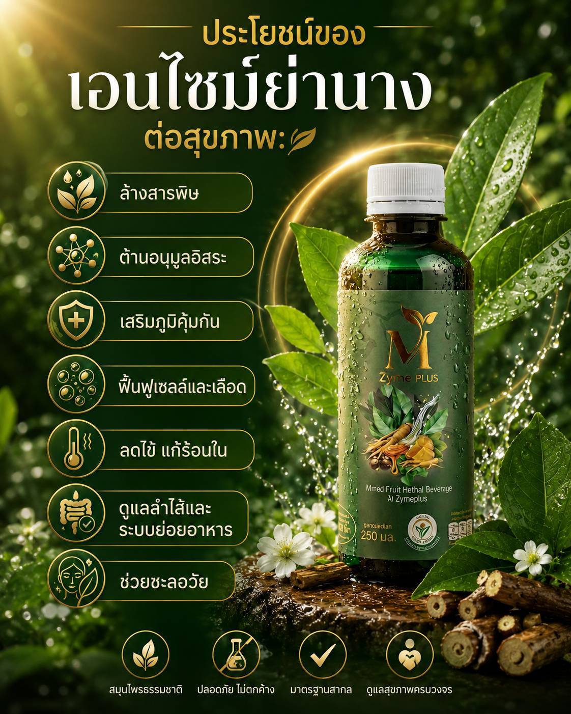 เอ็มไซม์พลัส